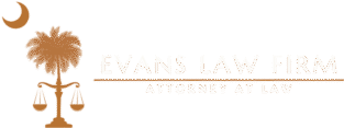 steveevanslaw.com